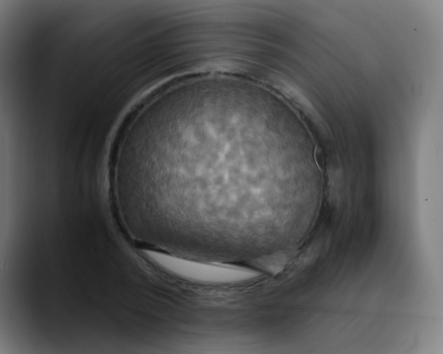 X0000089730784200707121448