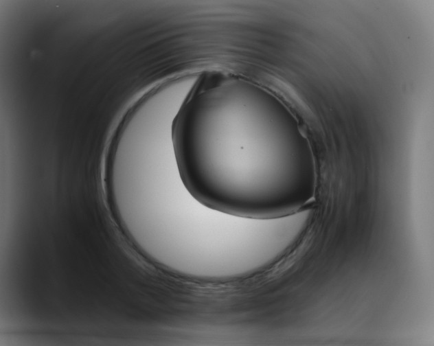 X0000089730788200707121448