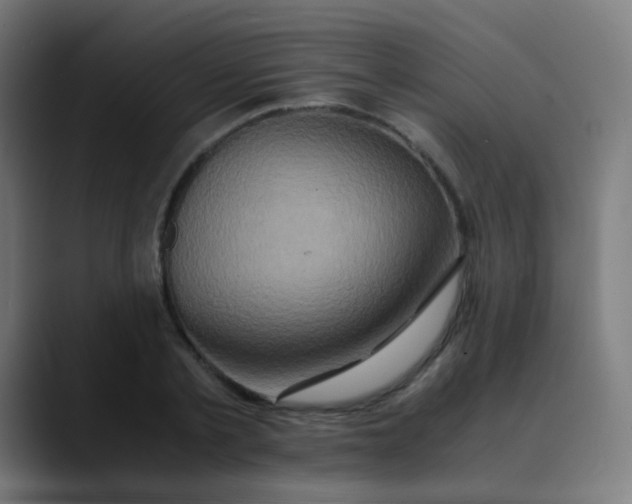 X0000089730789200707121448