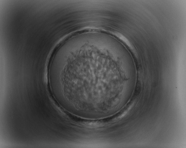 X0000089730791200707121448