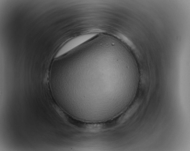 X0000089730793200707121448