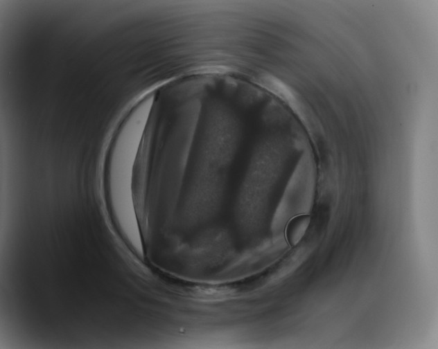 X0000089730795200707121448