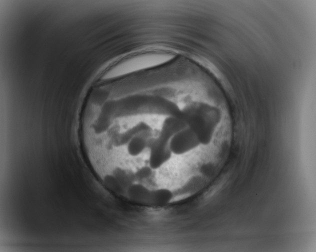 X0000089730799200707121448
