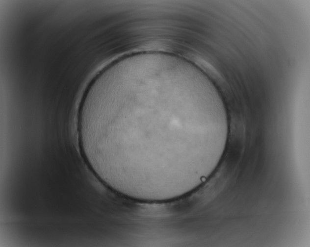 X0000089730800200707121448