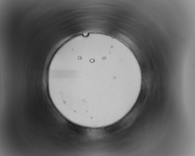 X0000089730804200707121448