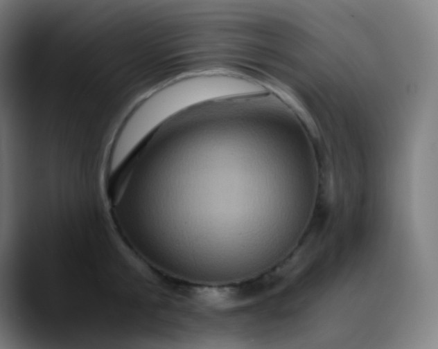 X0000089730805200707121448