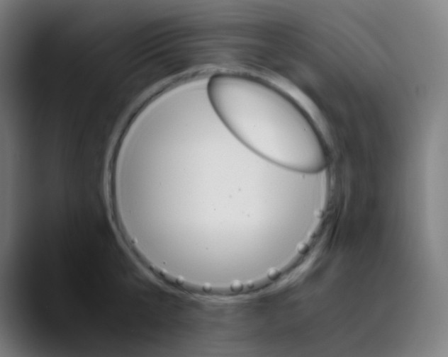 X0000089730807200707121448