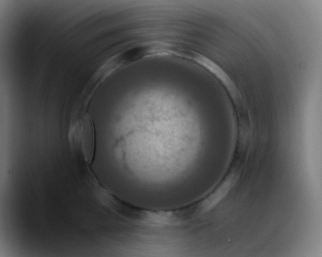 X0000089730809200707121448