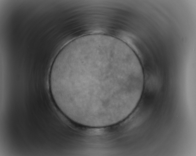 X0000089730810200707121448