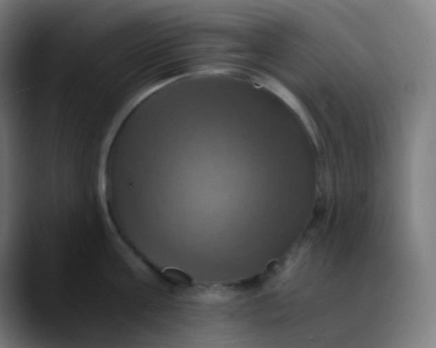 X0000089730811200707121448