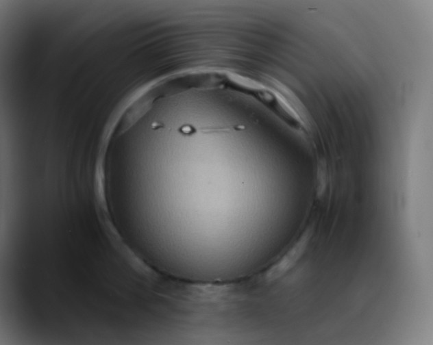 X0000089730812200707121448