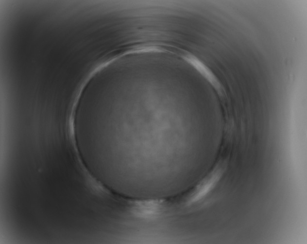 X0000089730813200707121448