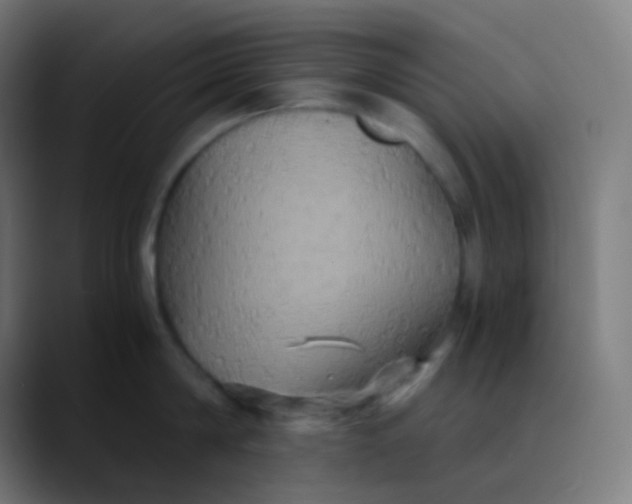 X0000089730814200707121448