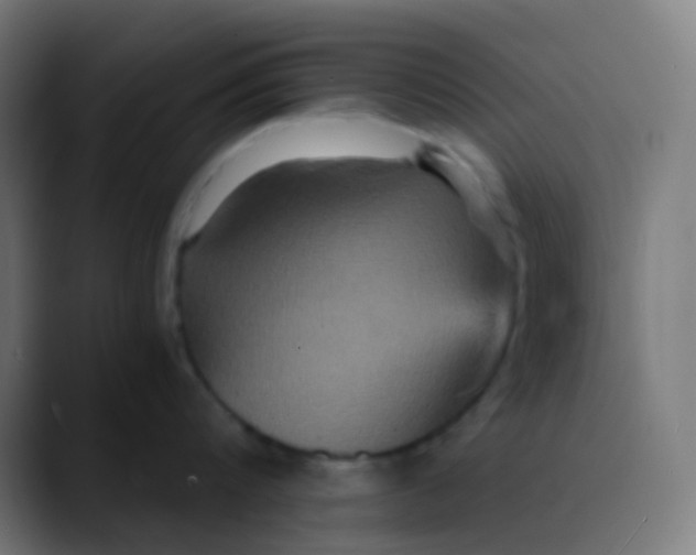 X0000089730816200707121448