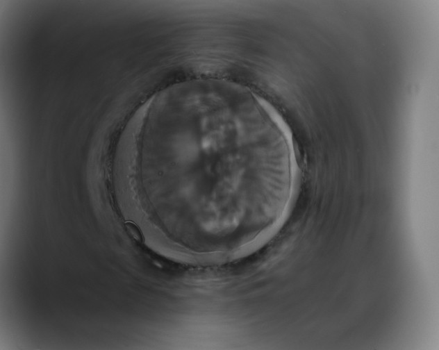 X0000089730817200707121447
