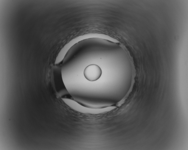 X0000089730818200707121447