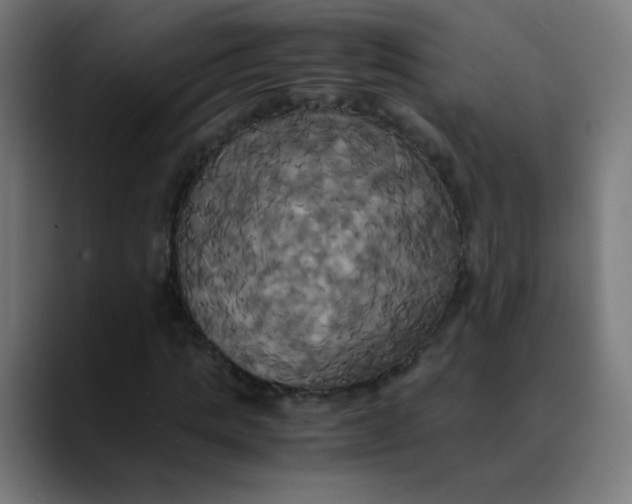 X0000089730821200707121447