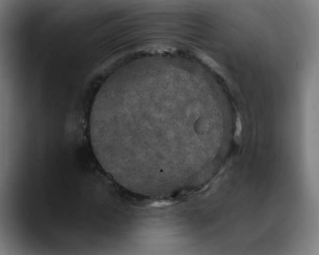 X0000089730822200707121447