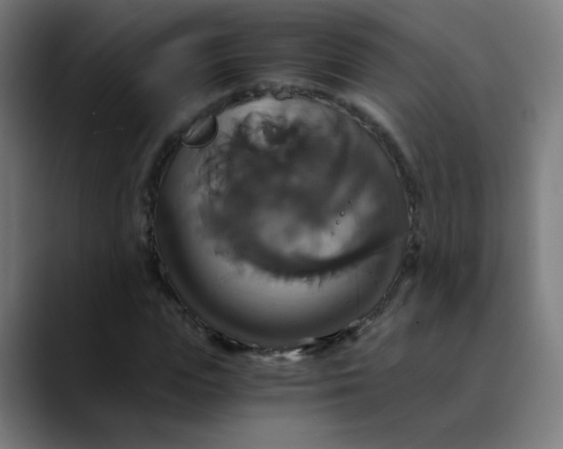 X0000089730823200707121447