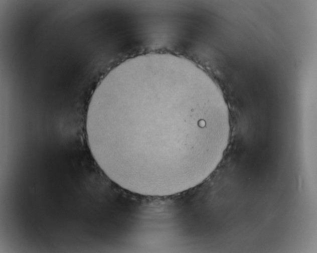 X0000089730824200707121447
