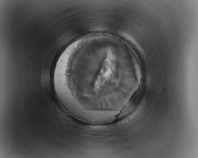 X0000089730825200707121447