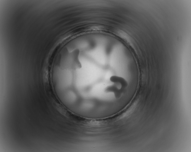 X0000089730827200707121447