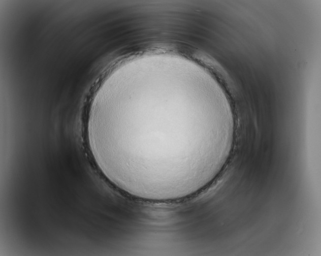 X0000089730828200707121447