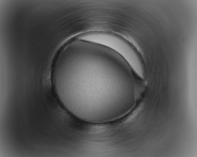 X0000089730830200707121447