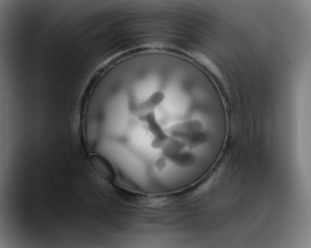 X0000089730831200707121447