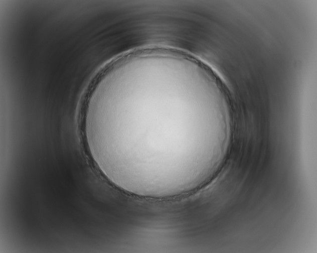 X0000089730832200707121447