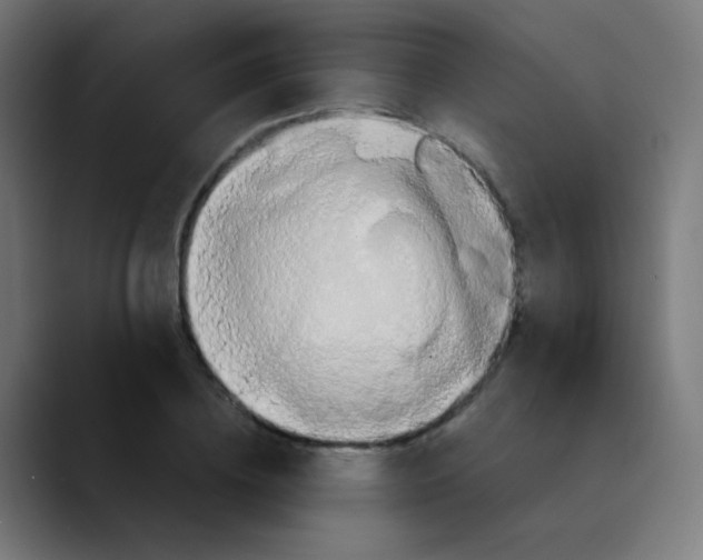 X0000089730836200707121447