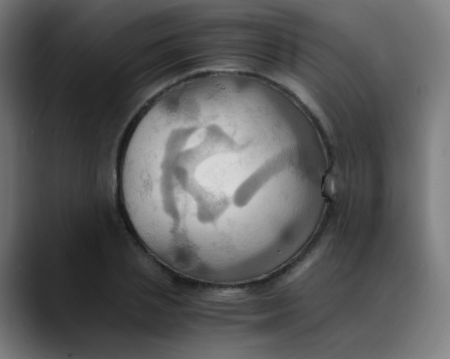 X0000089730837200707121447