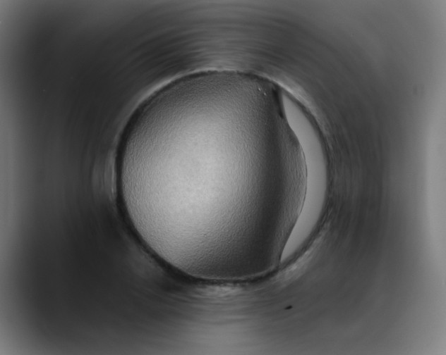 X0000089730838200707121447