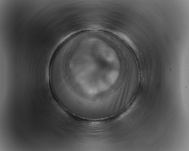 X0000089730839200707121447