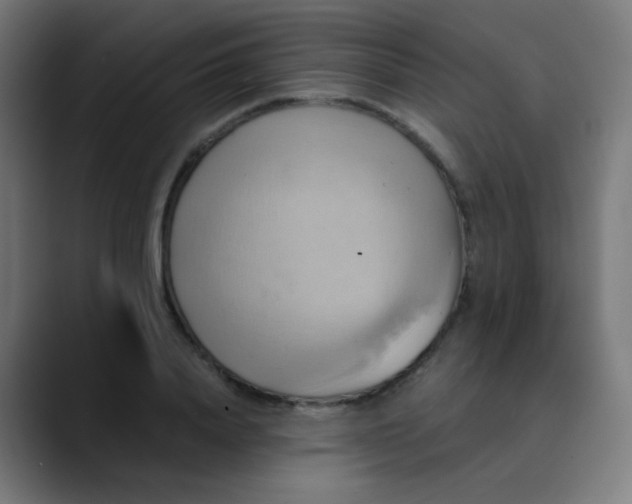 X0000089730840200707121447