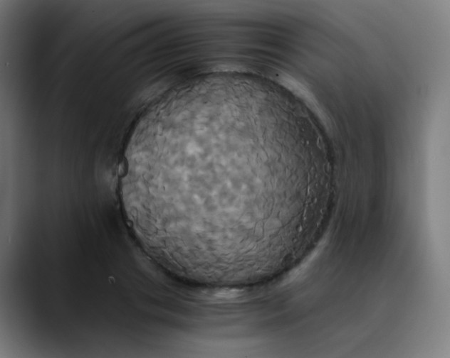 X0000089730841200707121448