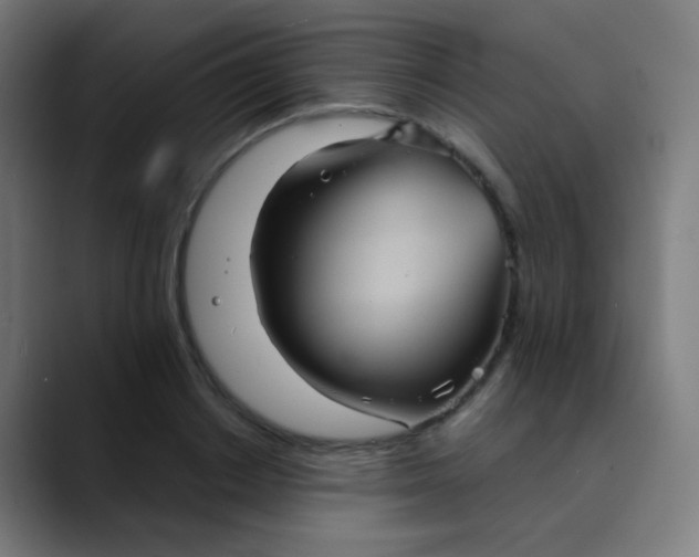 X0000089730842200707121448