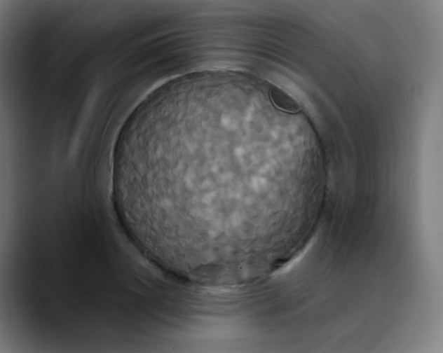 X0000089730844200707121448
