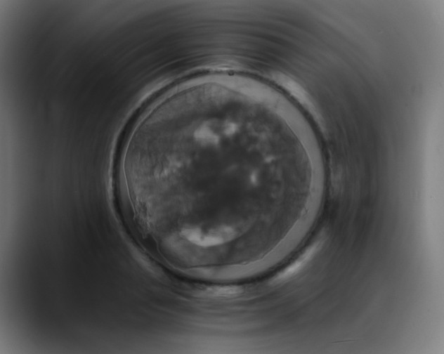 X0000089730845200707121448