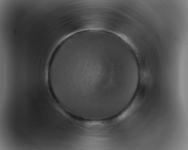 X0000089730846200707121448
