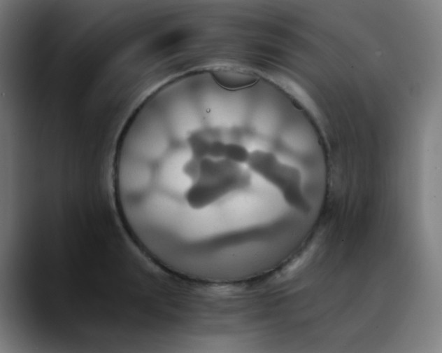 X0000089730847200707121448