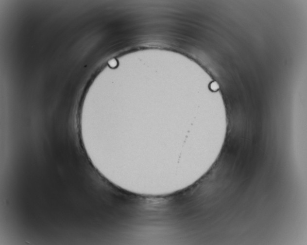 X0000089730848200707121448