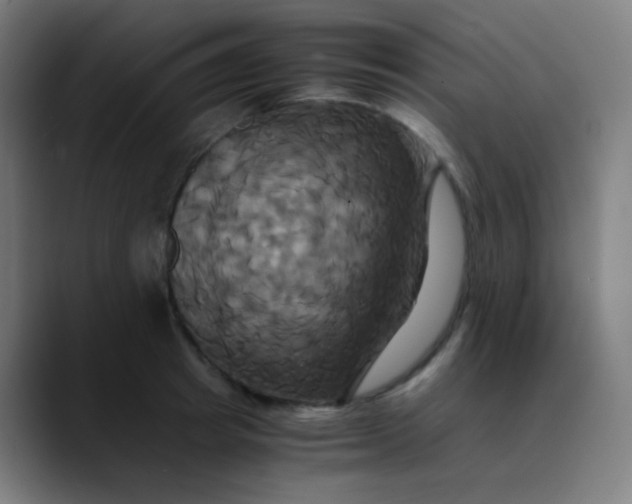 X0000089730849200707121448