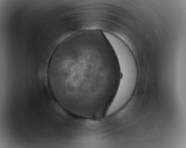 X0000089730850200707121448