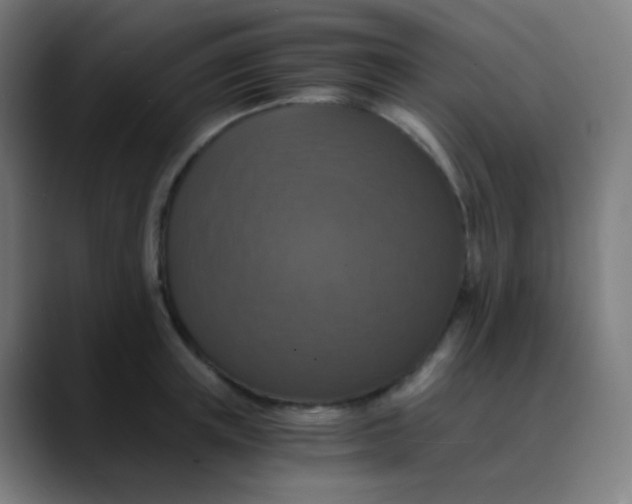 X0000089730851200707121448