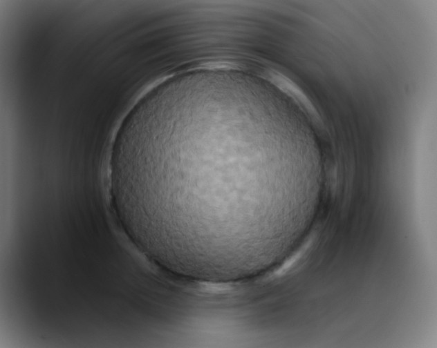 X0000089730852200707121448