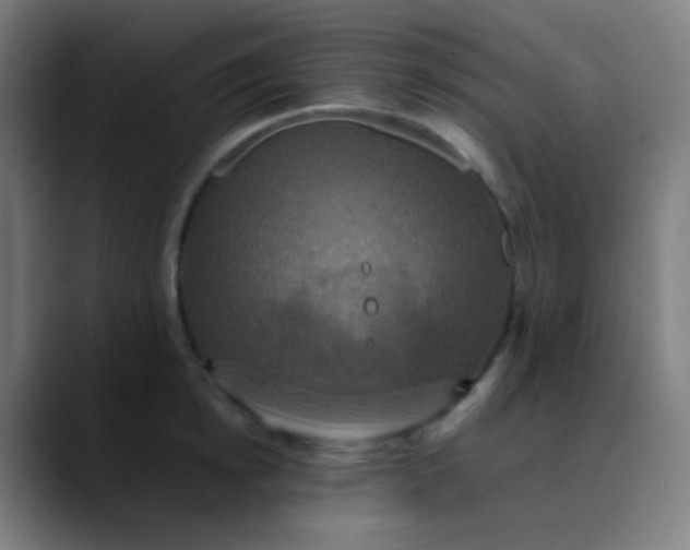 X0000089730854200707121448