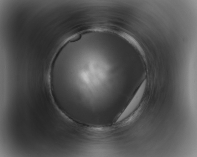 X0000089730855200707121448