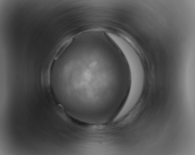 X0000089730858200707121448