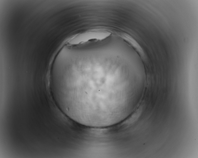 X0000089730860200707121448